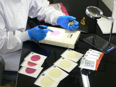 衛生、品質管理部門7細菌検査2